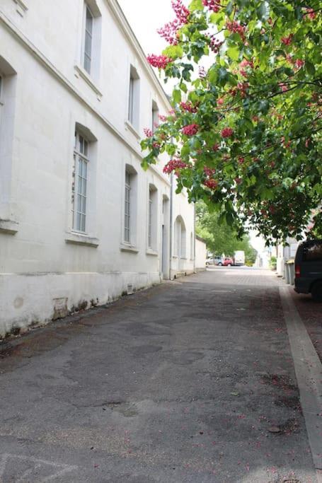 Appartement Calme Proche De La Loire Saumur Eksteriør billede